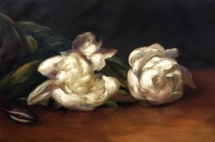Branch Of White Peonies With Pruning Shears