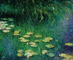Monet Paintings: Ninfee dell Orangerie