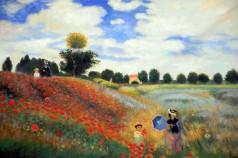 Monet Paintings: Poppy Field in Argenteuil