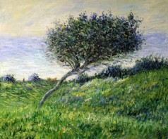 Monet Paintings: Sea Coast at Trouville