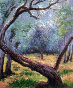 Monet Paintings: Olive Trees (Study)