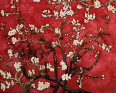 Mothers Day Art: Branches of an Almond Tree in Blossom, Ruby Red