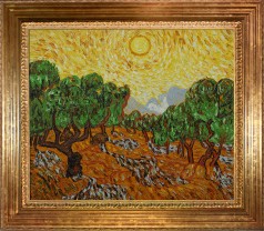 Olive Trees with Yellow Sun and Sky Pre-Framed