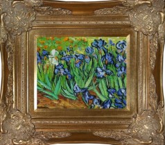 Irises Pre-Framed