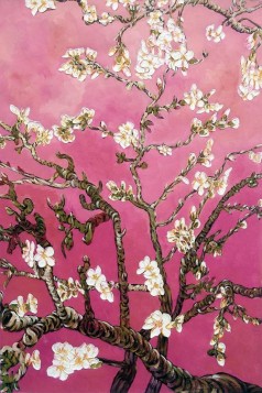Branches of an Almond Tree in Blossom, Pearl Pink