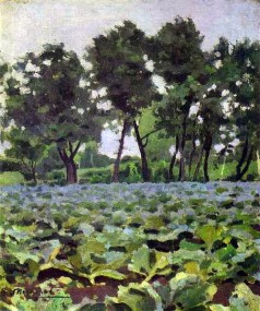 Cabbage Field with Willows
