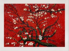 Branches of an Almond Tree in Blossom, Ruby Red Pre-Framed