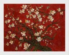 Branches of an Almond Tree in Blossom, Ruby Red Pre-Framed
