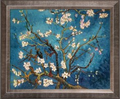 Branches Of An Almond Tree In Blossom Pre-Framed