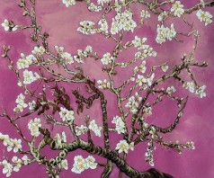 Branches of an Almond Tree in Blossom, Magenta