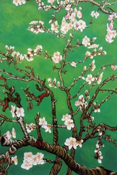 Branches of an Almond Tree in Blossom, Emerald Green