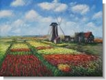Tulip Field with the Rijnsburg Windmill
