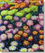 Monet Paintings: Bed of Chrysanthemums