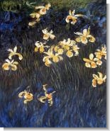 Monet Paintings: Yellow Irises