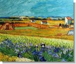 Harvest with Irises Collage