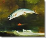 Jumping Trout